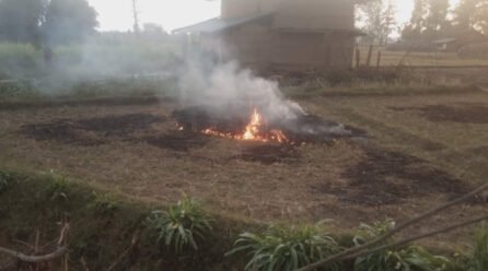 खेतबारीमा आगो नलगाउन कैलालीका पालिकाद्वारा आग्रह